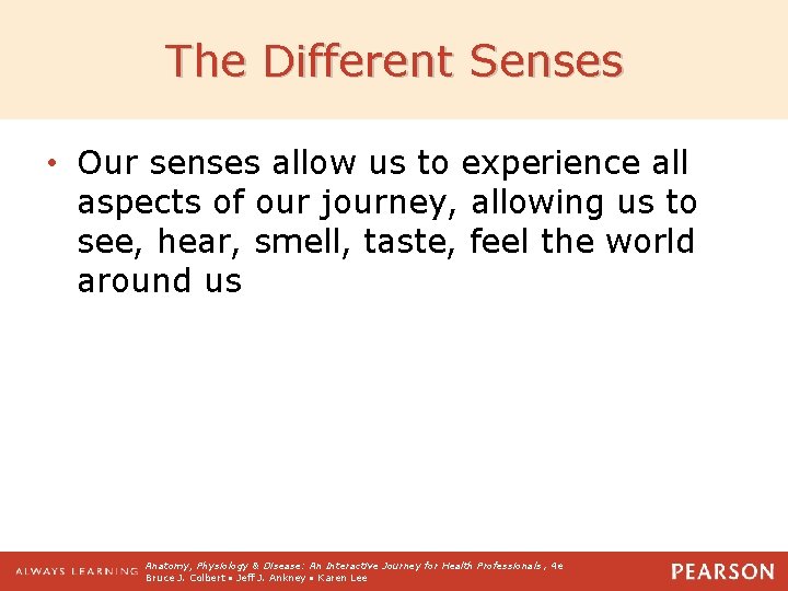 The Different Senses • Our senses allow us to experience all aspects of our