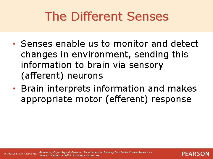 The Different Senses • Senses enable us to monitor and detect changes in environment,
