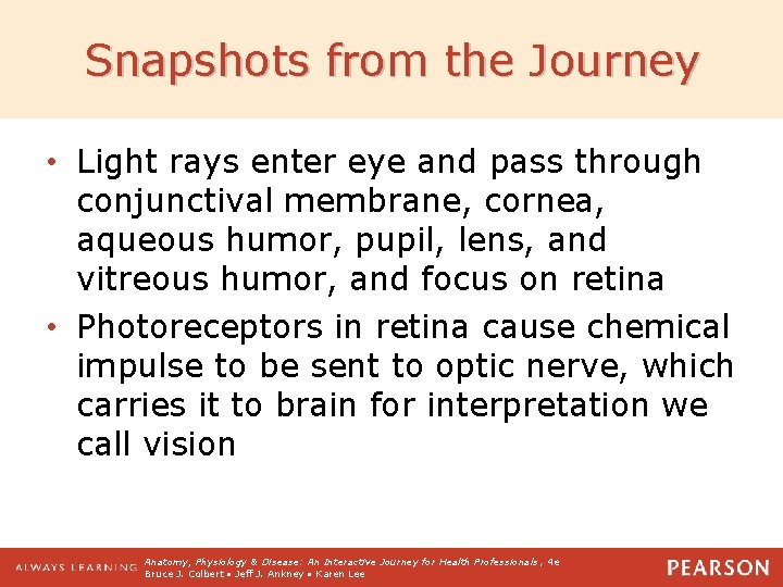 Snapshots from the Journey • Light rays enter eye and pass through conjunctival membrane,