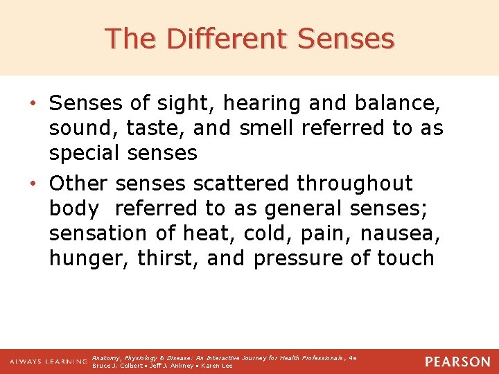 The Different Senses • Senses of sight, hearing and balance, sound, taste, and smell