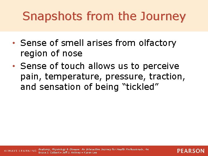 Snapshots from the Journey • Sense of smell arises from olfactory region of nose