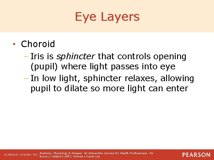 Eye Layers • Choroid – Iris is sphincter that controls opening (pupil) where light