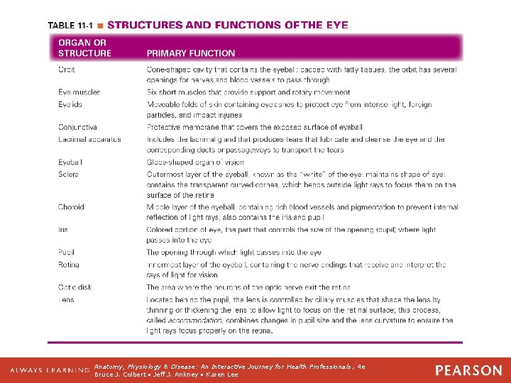 Table 11 -1 Structures and Functions of the Eye Anatomy, Physiology & Disease: An