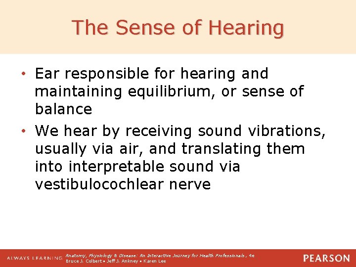 The Sense of Hearing • Ear responsible for hearing and maintaining equilibrium, or sense