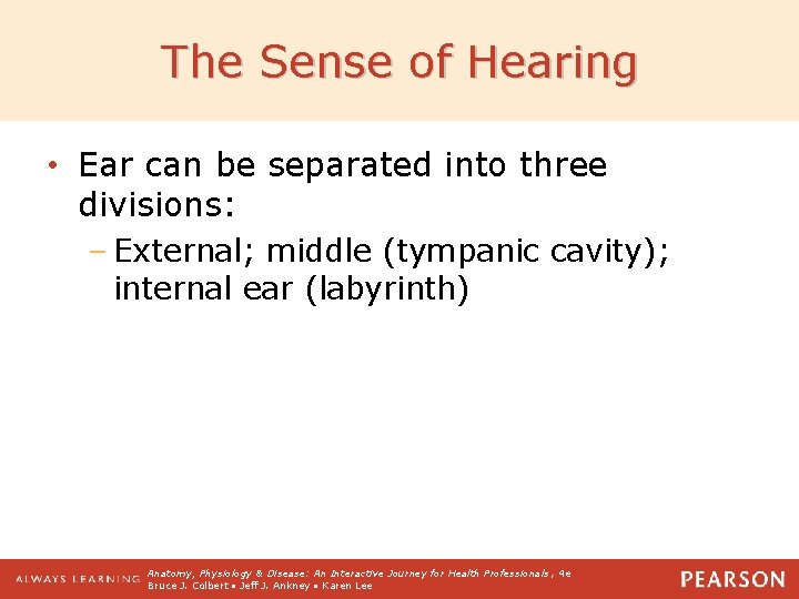 The Sense of Hearing • Ear can be separated into three divisions: – External;