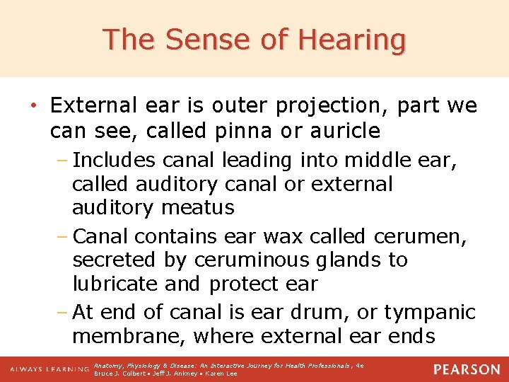 The Sense of Hearing • External ear is outer projection, part we can see,