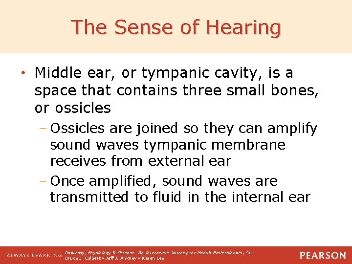 The Sense of Hearing • Middle ear, or tympanic cavity, is a space that