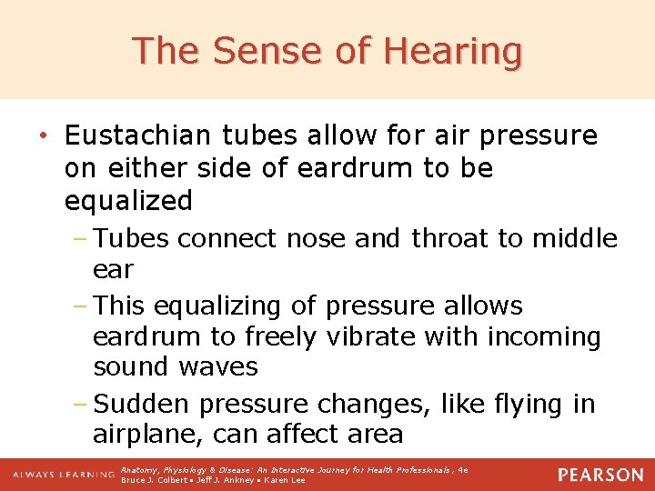 The Sense of Hearing • Eustachian tubes allow for air pressure on either side