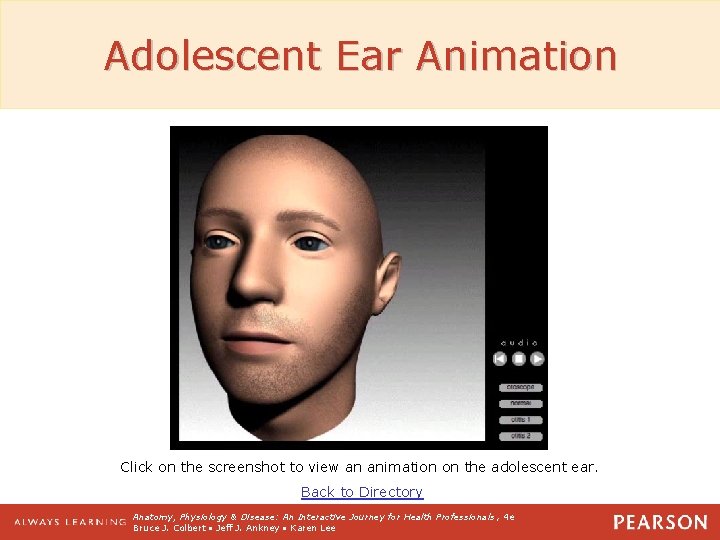 Adolescent Ear Animation Click on the screenshot to view an animation on the adolescent