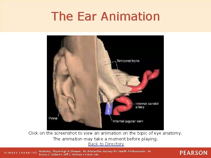 The Ear Animation Click on the screenshot to view an animation on the topic