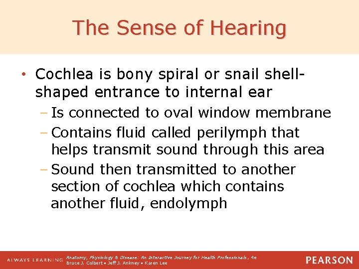 The Sense of Hearing • Cochlea is bony spiral or snail shellshaped entrance to