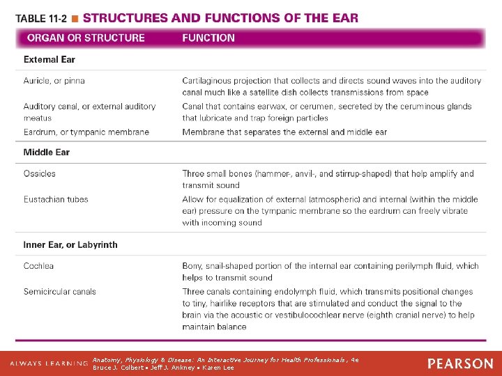 Table 11 -2 Structures and Functions of the Ear Anatomy, Physiology & Disease: An