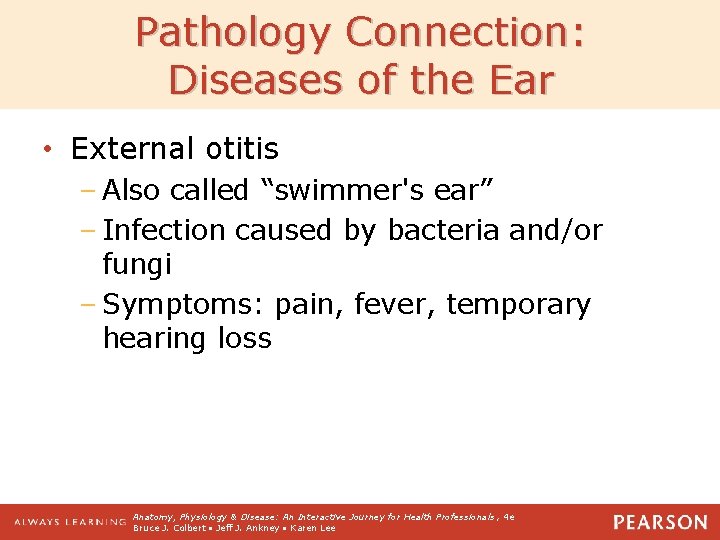 Pathology Connection: Diseases of the Ear • External otitis – Also called “swimmer's ear”