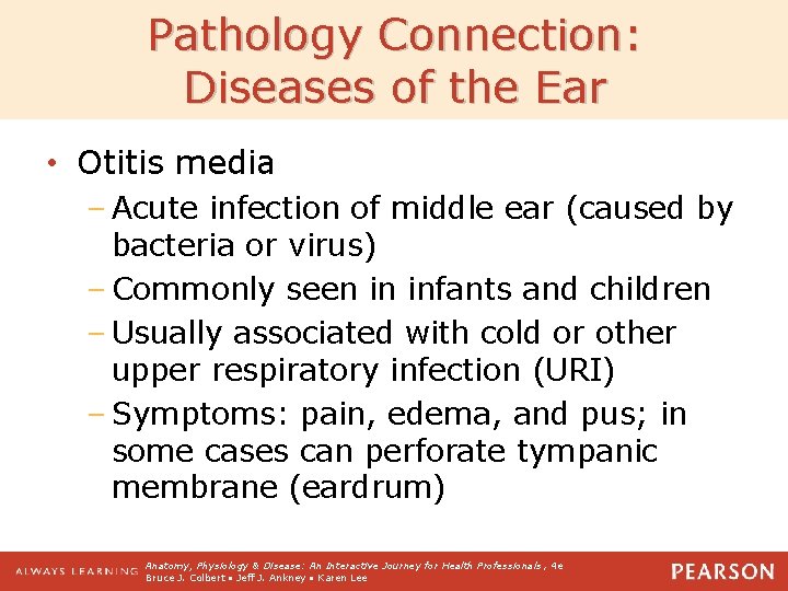 Pathology Connection: Diseases of the Ear • Otitis media – Acute infection of middle