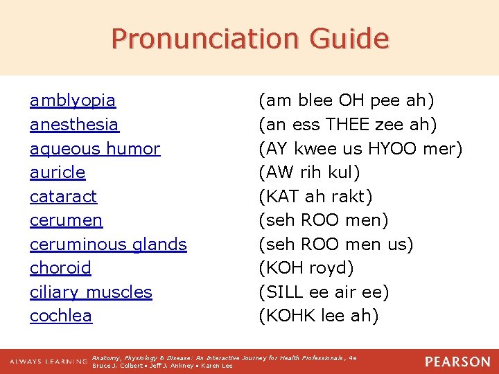 Pronunciation Guide amblyopia anesthesia aqueous humor auricle cataract cerumen ceruminous glands choroid ciliary muscles