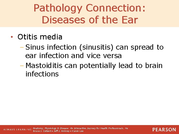 Pathology Connection: Diseases of the Ear • Otitis media – Sinus infection (sinusitis) can