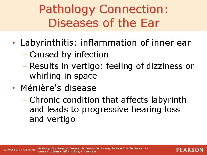 Pathology Connection: Diseases of the Ear • Labyrinthitis: inflammation of inner ear – Caused