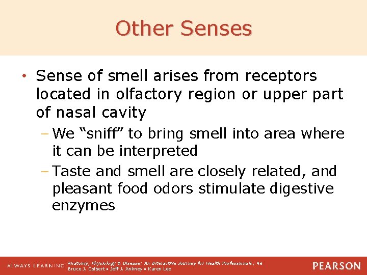 Other Senses • Sense of smell arises from receptors located in olfactory region or