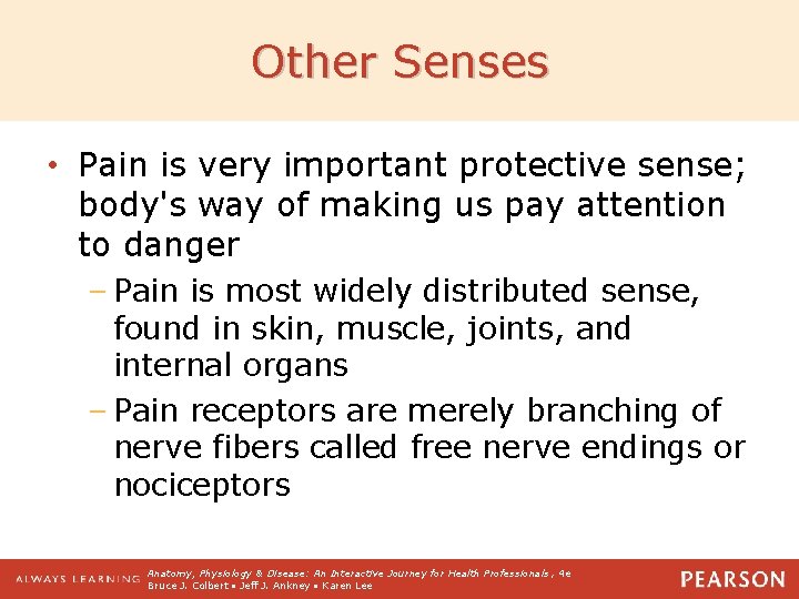 Other Senses • Pain is very important protective sense; body's way of making us
