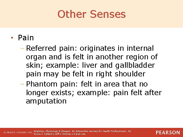 Other Senses • Pain – Referred pain: originates in internal organ and is felt