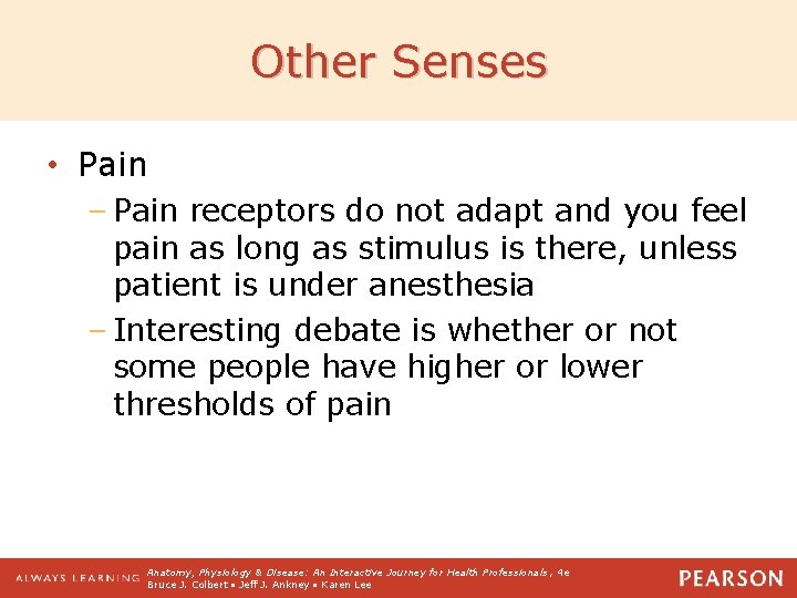 Other Senses • Pain – Pain receptors do not adapt and you feel pain