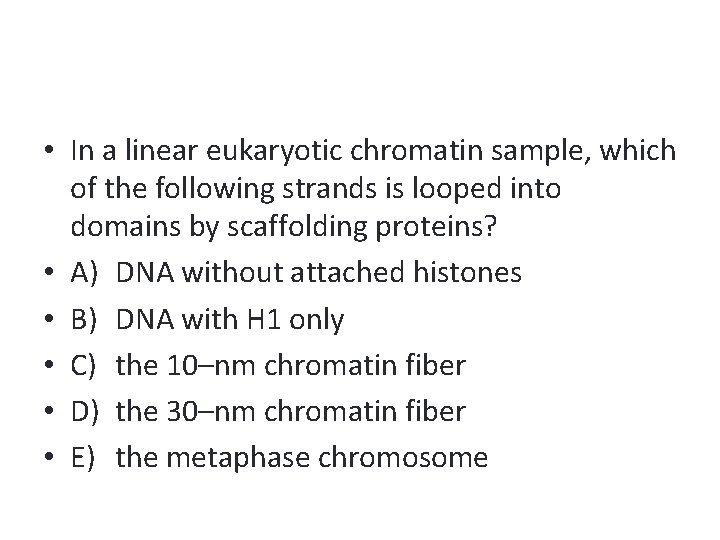  • In a linear eukaryotic chromatin sample, which of the following strands is