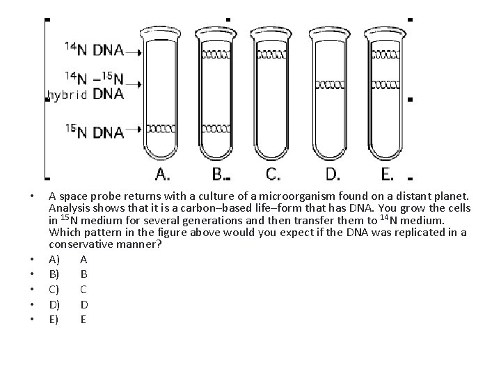  • • • A space probe returns with a culture of a microorganism