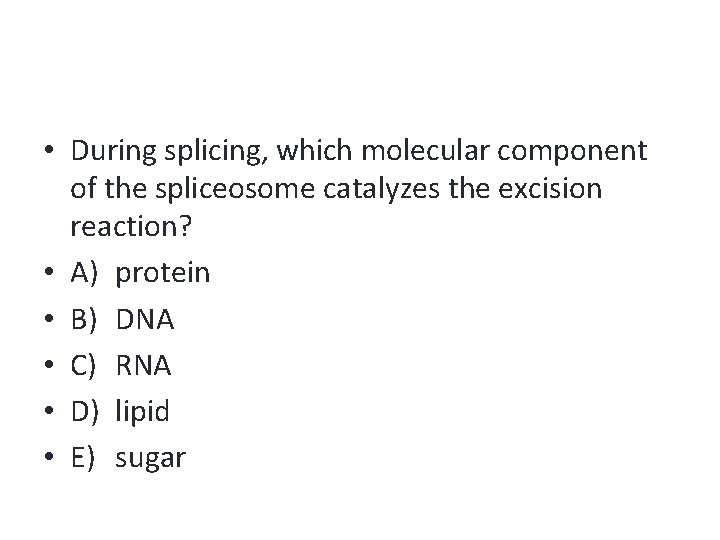  • During splicing, which molecular component of the spliceosome catalyzes the excision reaction?