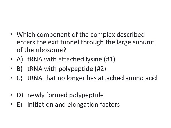  • Which component of the complex described enters the exit tunnel through the