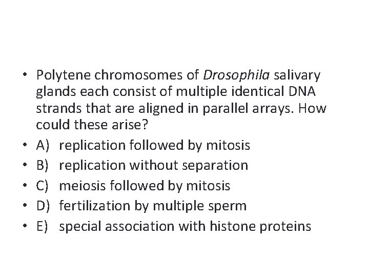  • Polytene chromosomes of Drosophila salivary glands each consist of multiple identical DNA