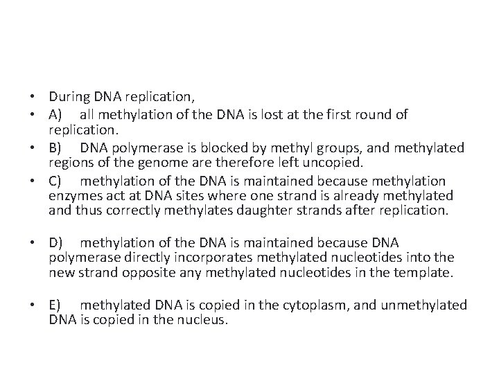  • During DNA replication, • A) all methylation of the DNA is lost