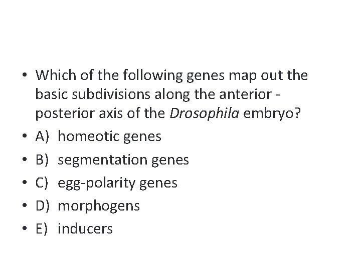  • Which of the following genes map out the basic subdivisions along the