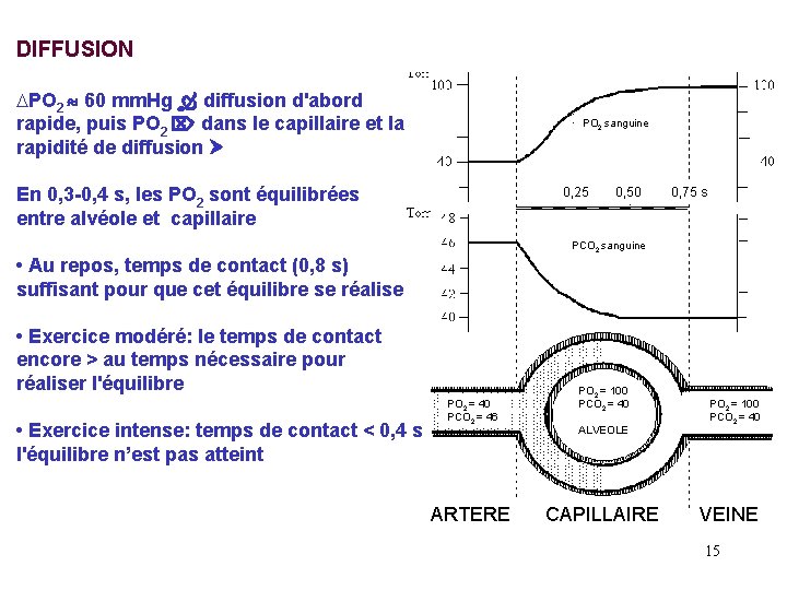 DIFFUSION DPO 2 60 mm. Hg diffusion d'abord rapide, puis PO 2 dans le