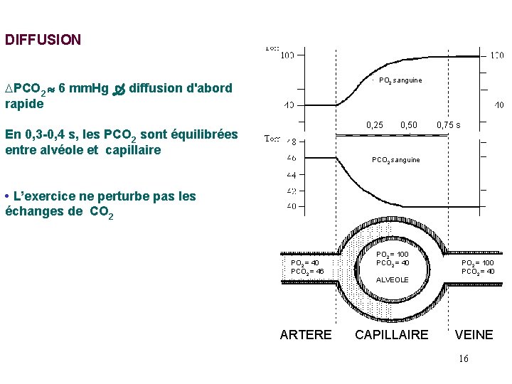 DIFFUSION PO 2 sanguine DPCO 2 6 mm. Hg diffusion d'abord rapide 0, 25