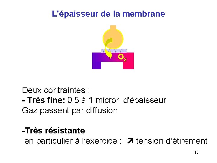 L'épaisseur de la membrane O 2 Deux contraintes : - Très fine: 0, 5