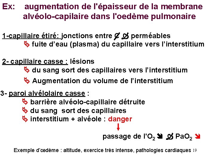 Ex: augmentation de l'épaisseur de la membrane alvéolo-capilaire dans l'oedème pulmonaire 1 -capillaire étiré: