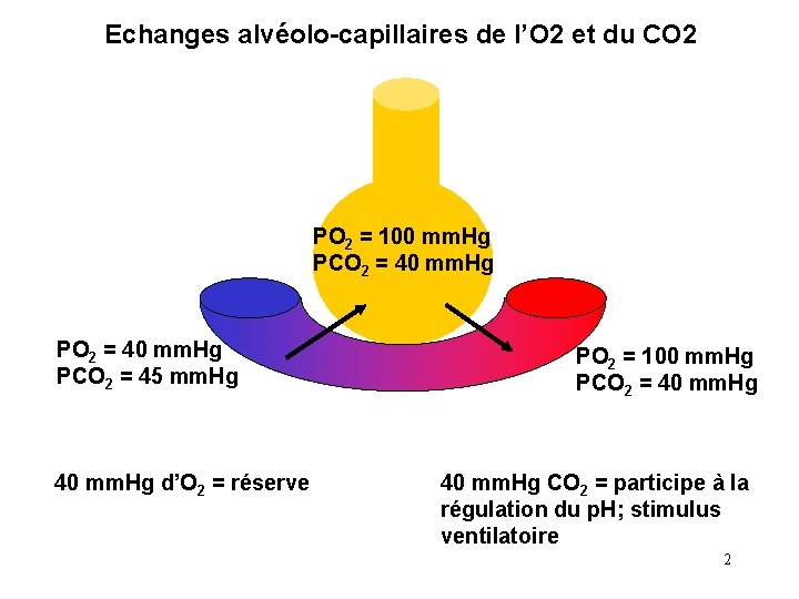 Echanges alvéolo-capillaires de l’O 2 et du CO 2 PO 2 = 100 mm.