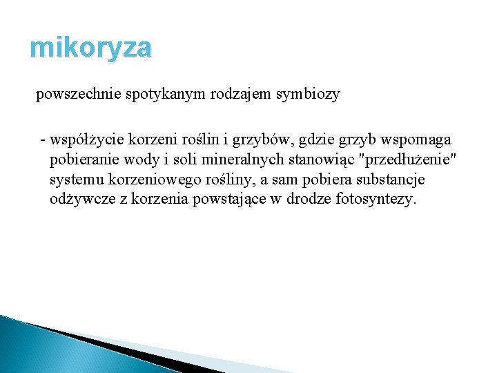 mikoryza powszechnie spotykanym rodzajem symbiozy - współżycie korzeni roślin i grzybów, gdzie grzyb wspomaga