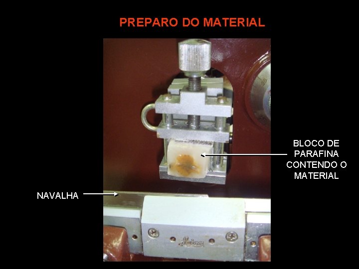 PREPARO DO MATERIAL BLOCO DE PARAFINA CONTENDO O MATERIAL NAVALHA 