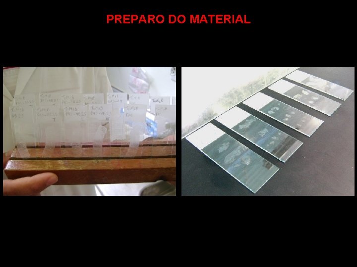 PREPARO DO MATERIAL 