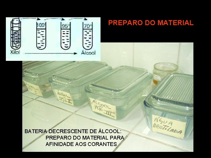 PREPARO DO MATERIAL BATERIA DECRESCENTE DE ÁLCOOL: PREPARO DO MATERIAL PARA AFINIDADE AOS CORANTES