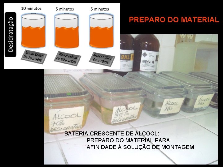 PREPARO DO MATERIAL BATERIA CRESCENTE DE ÁLCOOL: PREPARO DO MATERIAL PARA AFINIDADE À SOLUÇÃO