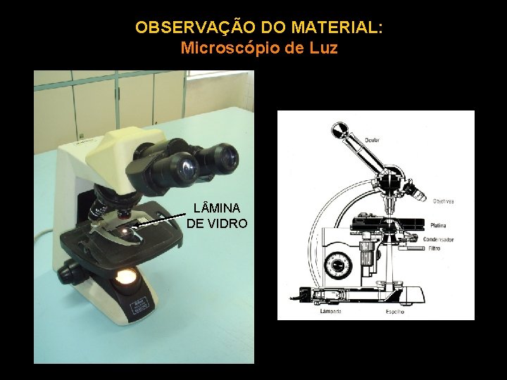 OBSERVAÇÃO DO MATERIAL: Microscópio de Luz L MINA DE VIDRO 