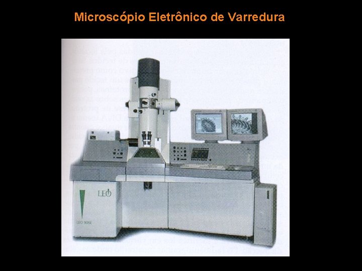 Microscópio Eletrônico de Varredura 