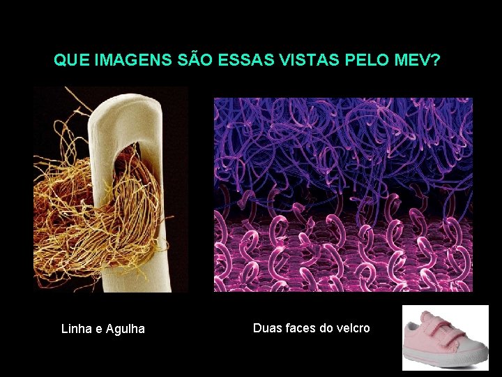 QUE IMAGENS SÃO ESSAS VISTAS PELO MEV? Linha e Agulha Duas faces do velcro