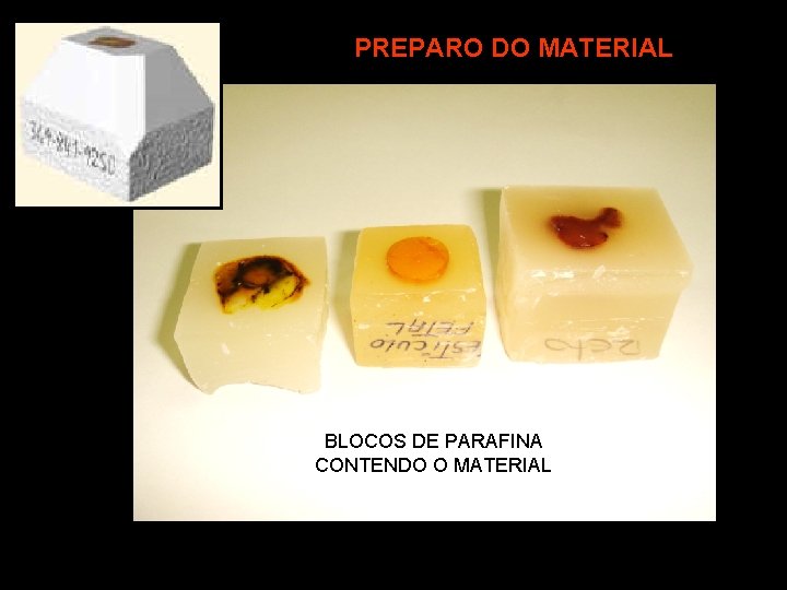 PREPARO DO MATERIAL BLOCOS DE PARAFINA CONTENDO O MATERIAL 