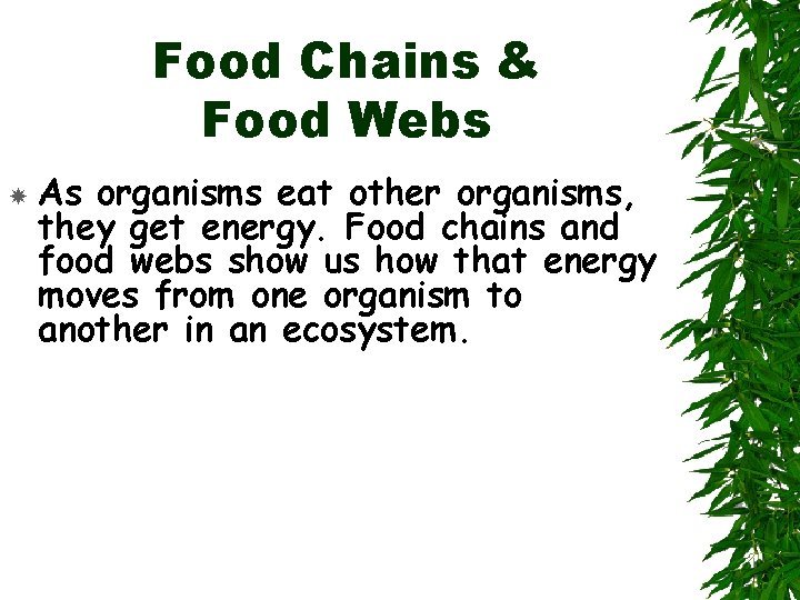 Food Chains & Food Webs As organisms eat other organisms, they get energy. Food