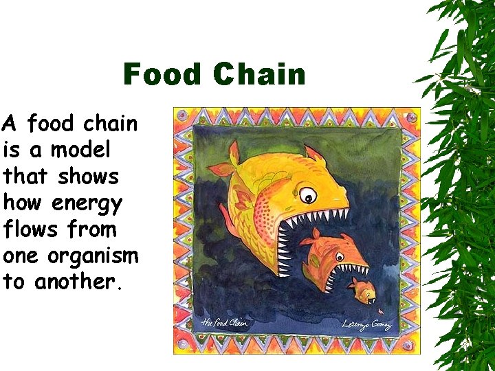Food Chain A food chain is a model that shows how energy flows from