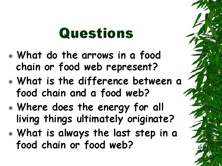 Questions What do the arrows in a food chain or food web represent? What