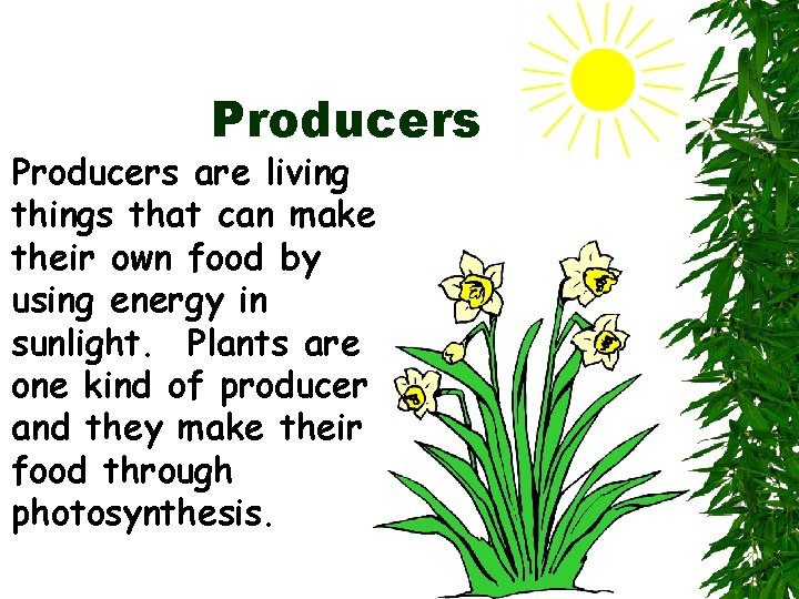 Producers are living things that can make their own food by using energy in